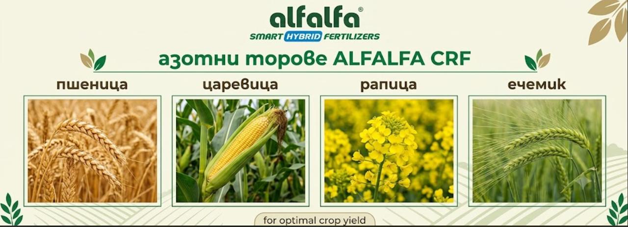 Азотен тор CRF N45 ALFALFA