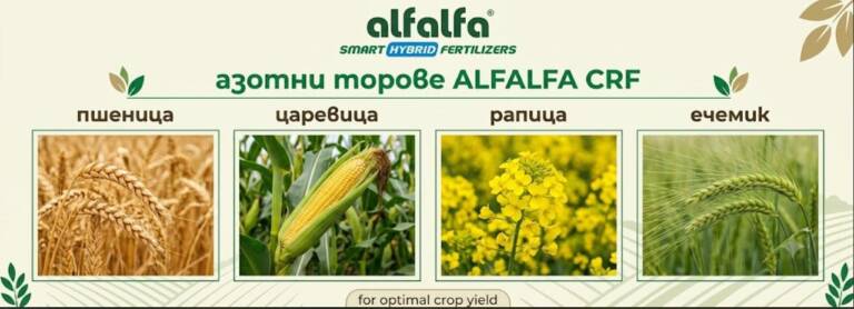 Азотен тор за пшеница N45 ALFALFA CRF