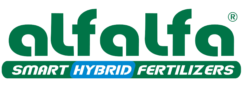 Logo_Alfalfa_HIBRrID-removebg-preview